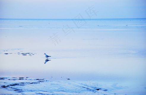天空,屏幕截图,湖泊,台式电脑,海鸥在海上