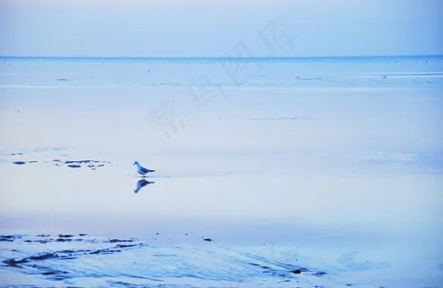 天空,屏幕截图,湖泊,台式电脑,海鸥在海上