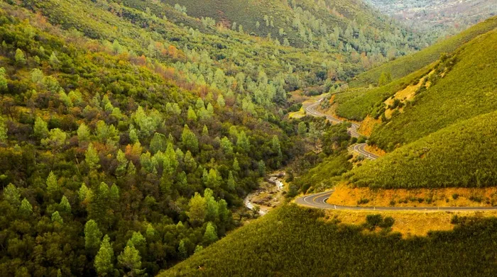山，道路，公路，谷，侧，树木，景观