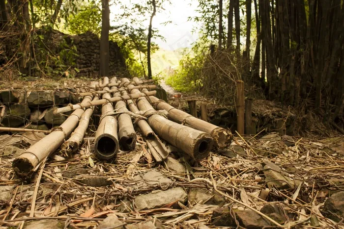 桥，竹，换班，越过，交叉