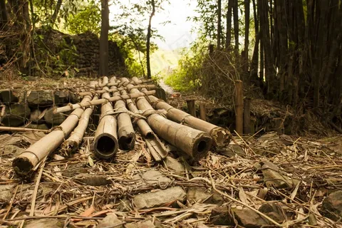 桥，竹，换班，越过，交叉