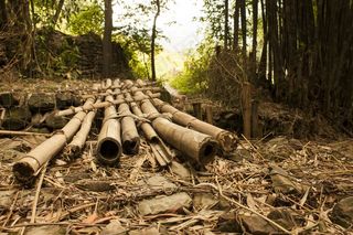 桥，竹，换班，越过，交叉