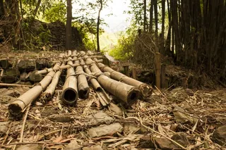 桥，竹，换班，越过，交叉