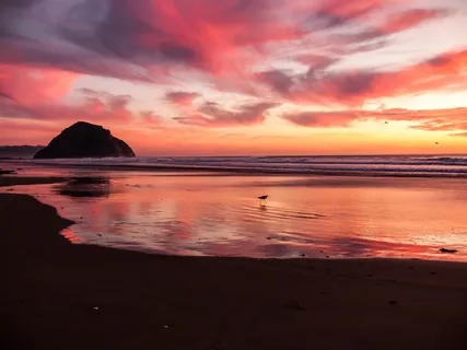 天空,霞光,海洋,卷积云,湖泊,海鸥在日落时分在海中涉水 天空,霞光,海洋,卷积云,湖泊,海鸥在日落时分在海中涉水