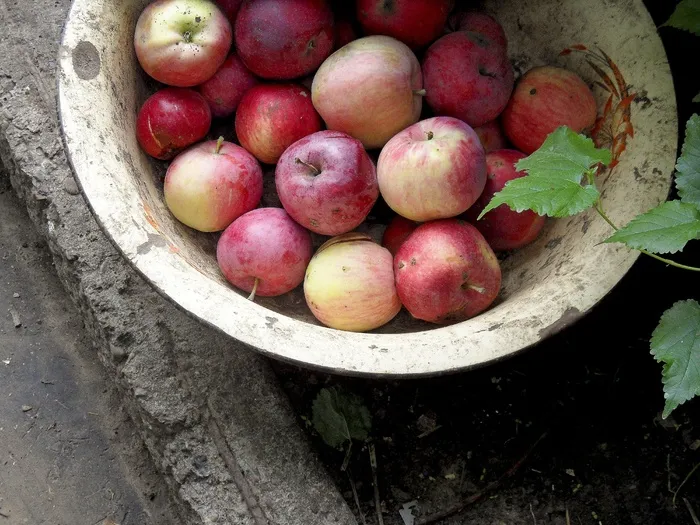苹果，蔬菜，水果，植物，红色，佐野，食品