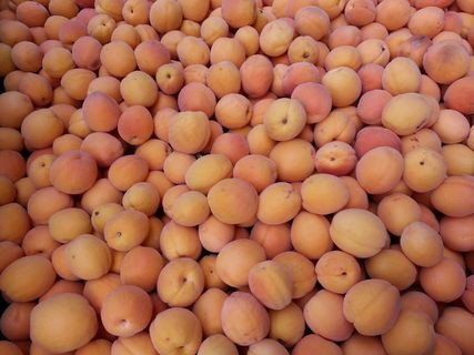 杏，水果，多汁，食品，成熟，健康，新鲜，药膳