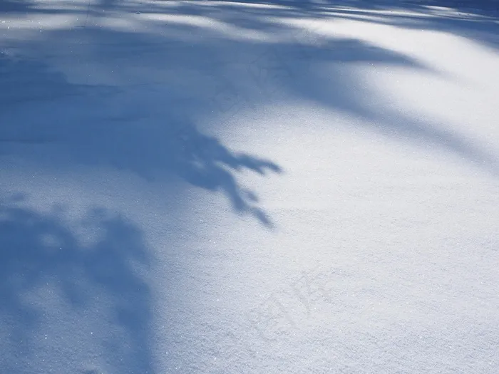 雪景，冬天，太阳，阴影，雪，冷