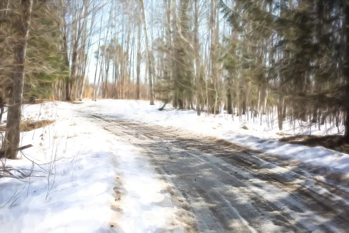 冬季路，雪，雪域，国家，驱动器，伍兹