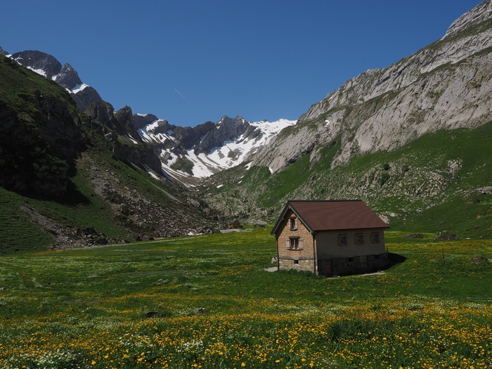 Alpe，Alm，Meglisalp，Säntis，Bergdorf，房屋