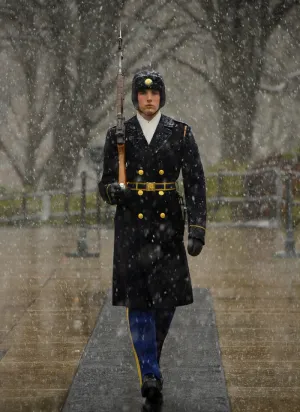 军官服,军人/警察,保安服,军礼服,雨雪天气,冬季在无名战士墓前的仪仗队士兵的肖像