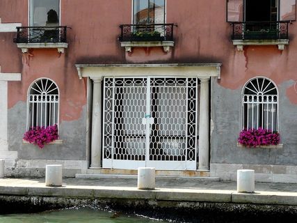 6月，夏季，意大利，威尼斯，白色极限，运行植物