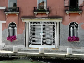 6月，夏季，意大利，威尼斯，白色极限，运行植物