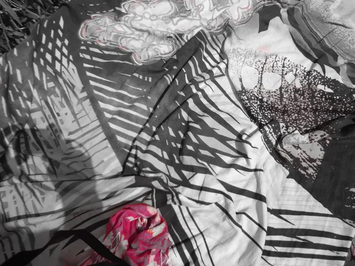 经典，布料，织物，时装，设计，纺织