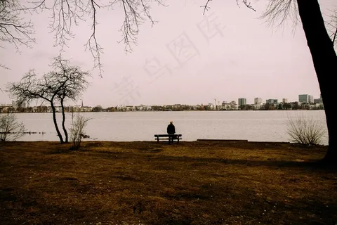 树,湖泊,天空,江河,桥梁,寂寞的身影