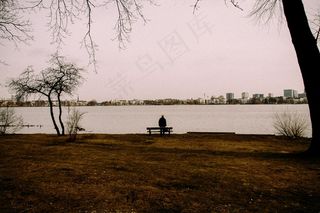 树,湖泊,天空,江河,桥梁,寂寞的身影