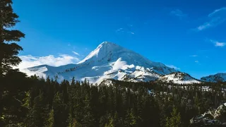 山，雪，白，森林，树木，自然，景观