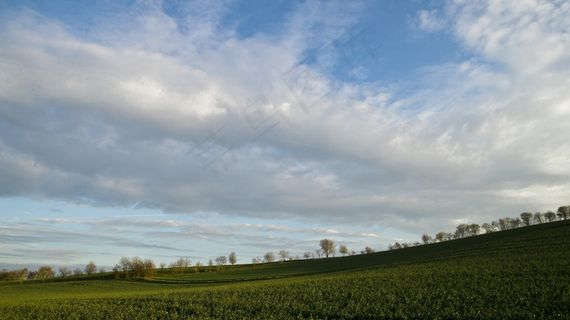 景观，树木，景观自然，天空，云，日落