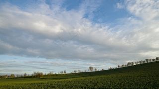 景观，树木，景观自然，天空，云，日落