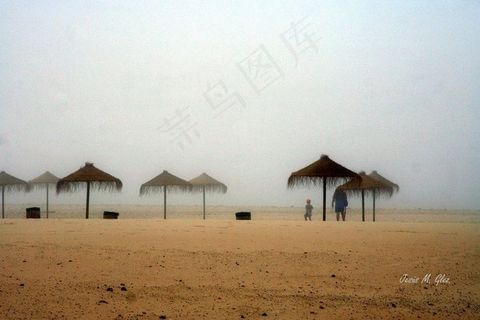 海洋,湖泊,天空,沙漠,江河,塔罗牌