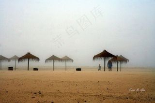 海洋,湖泊,天空,沙漠,江河,塔罗牌