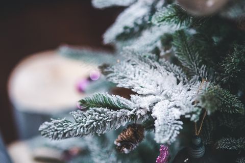雪,树,松树,圣诞节,冬季,圣诞,装饰 雪,树,松树,圣诞节,冬季,圣诞,装饰