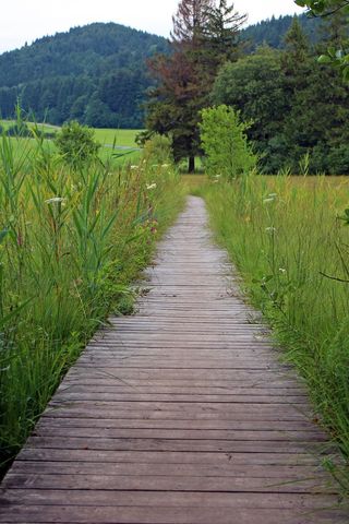木轨，离，路径，径，木板，Web，性质