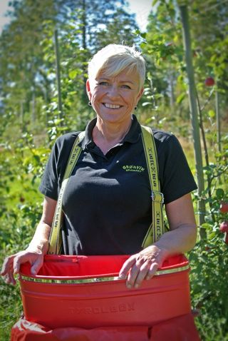 农夫，苹果，挪威，苹果汁，有机