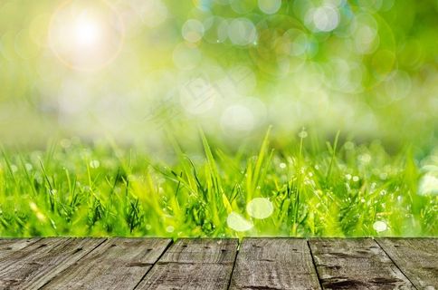 背景，绿色，园艺，春天，木，草，农场