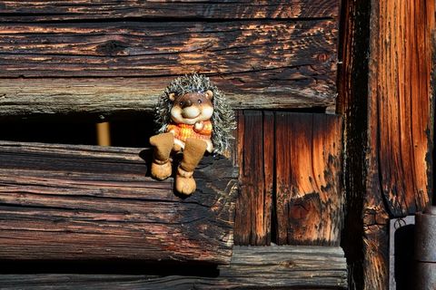 刺猬，无花果，玩具，梅基，娃娃，坐，性格开朗