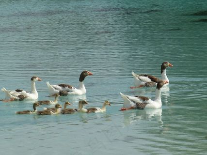 棉花堡，石灰烧结矿露台，景观，土耳其