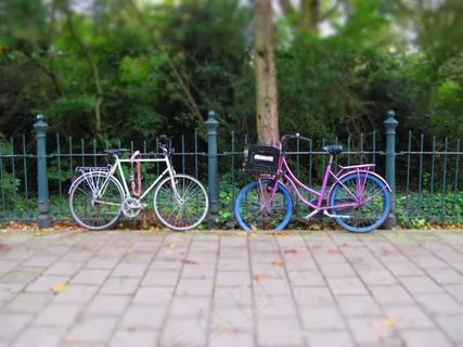 自行车，荷兰，阿姆斯特丹，紫红色，公园