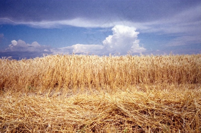 柯达VR35-Easypix 200-18