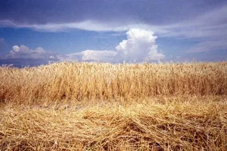 柯达VR35-Easypix 200-18