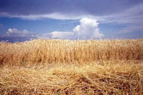 柯达VR35-Easypix 200-18 柯达VR35-Easypix 200-18