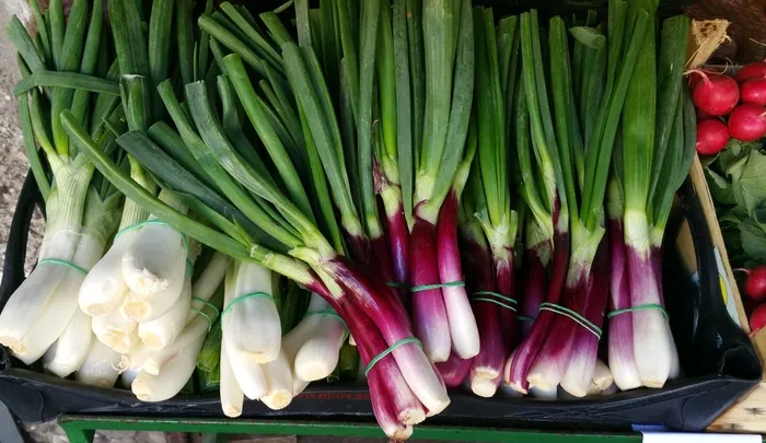 蔬菜，植物，自然，花园，食品，食品
