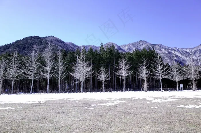 冬天，木材，脚暨我等，风景，山脉