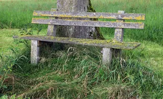 银行，长凳，木，老，出，自然，点击