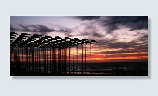 国旗,北海,旗杆,颤振,悬挂,打击 国旗,北海,旗杆,颤振,悬挂,打击