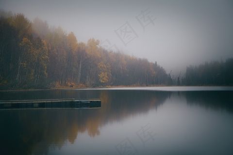 湖，坞站，树木，反射，森林，森林，水