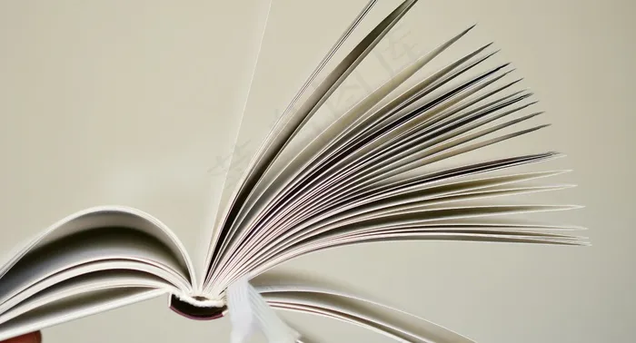 书籍页面，书籍，阅读，纸张，浏览