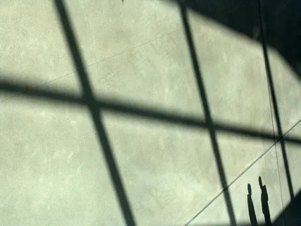 砖石材,地板砖,菱形网,装饰吊顶,隔热砖,商人交谈的剪影