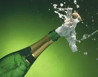 图像素材,卡通动漫人物,酒杯,鸟类,玫瑰花,香槟酒