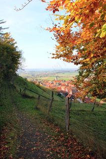 离开，篱笆，景观，蒂托堡森林，村，意见