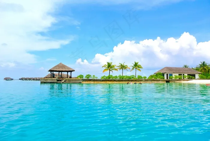 马尔代夫，椰子树，海，度假村，夏天，假期