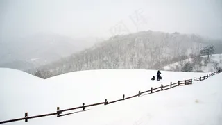 雪，三养牧场，平昌，牧场，景观