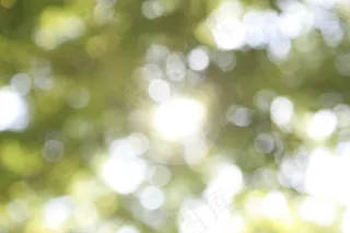 光，天空，风景，阳光，木材，自然