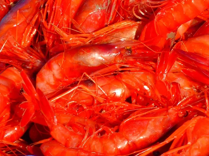 虾，海，吃，蟹肉，食品，美味