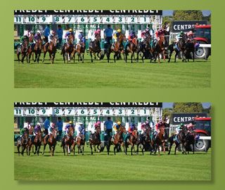 马匹，赛车，赛马会，体育，骑手，跟踪