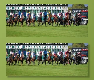 马匹，赛车，赛马会，体育，骑手，跟踪