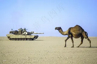 沙漠，骆驼，坦克，军队，军事，沙，热